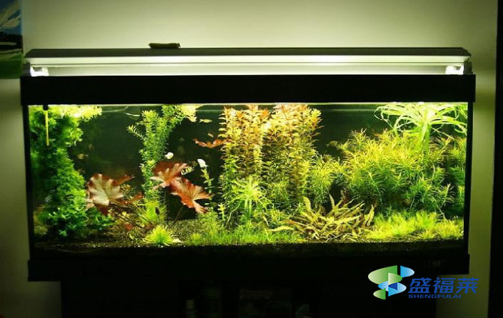 魚缸里的活性炭能用多長(zhǎng)時(shí)間 多長(zhǎng)時(shí)間更換一次?