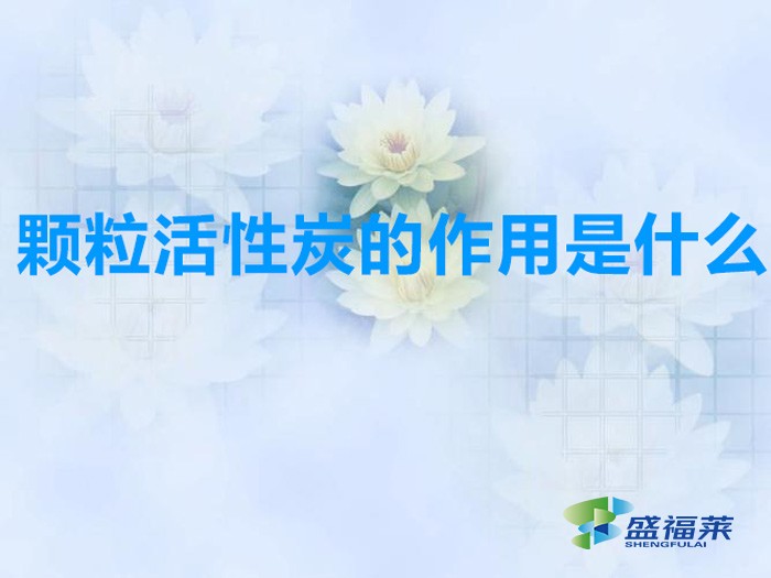 顆?；钚蕴康淖饔檬鞘裁?></div>
</a>
</li>
 
<li id=