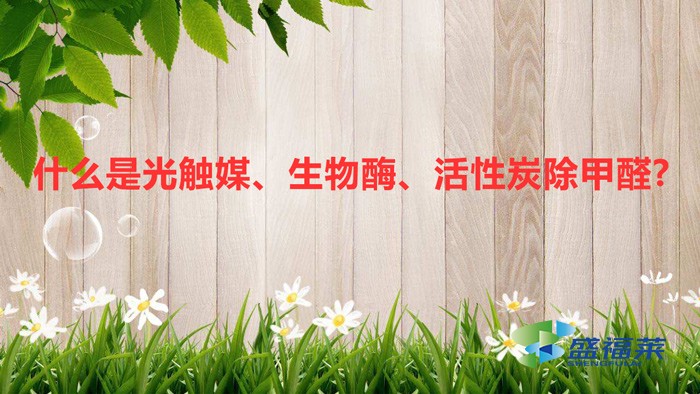 什么是光觸媒、生物酶、活性炭除甲醛?
