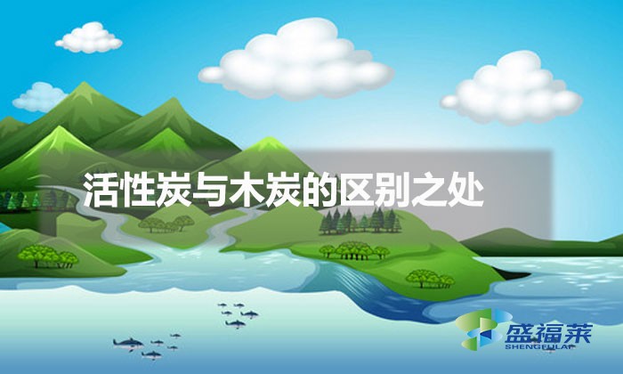 活性炭與木炭的區(qū)別之處(活性炭和木炭的不同之處)