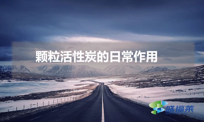 顆?；钚蕴康娜粘Ｗ饔茫ㄕ_選擇活性炭顆粒）