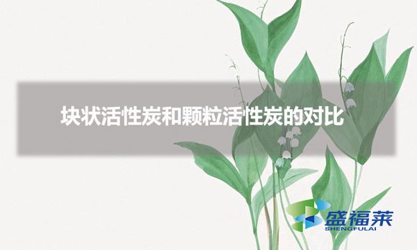 塊狀活性炭和顆粒活性炭的對(duì)比（塊狀和顆?；钚蕴坑心男┎煌?></div>
</a>
</li>
 
<li id=