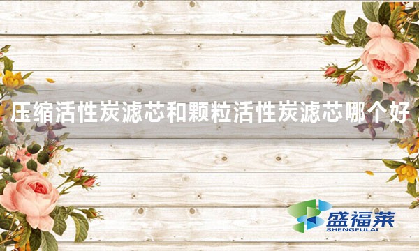 壓縮活性炭濾芯和顆?；钚蕴繛V芯哪個(gè)好 好在哪里？