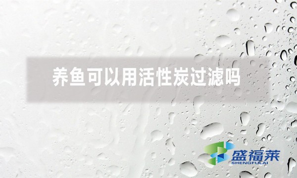 養(yǎng)魚可以用活性炭過濾嗎