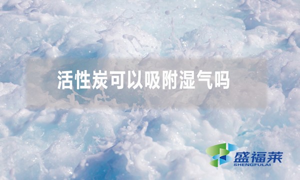 活性炭可以吸附濕氣嗎 為什么？