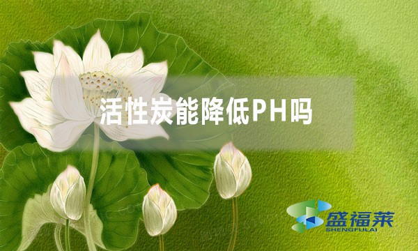 活性炭能降低PH嗎？為什么？