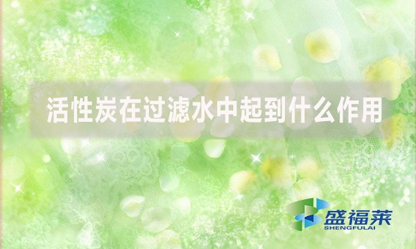 活性炭在過濾水中起到什么作用？