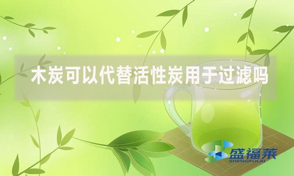 木炭可以代替活性炭用于過濾嗎？