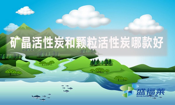 礦晶活性炭和顆?；钚蕴磕目詈?？