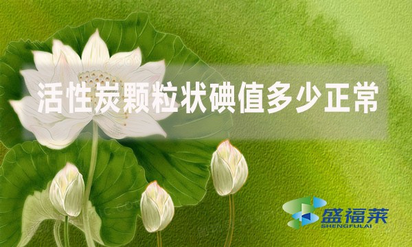 活性炭顆粒狀碘值多少正常？