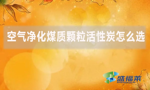 空氣凈化煤質(zhì)顆?；钚蕴吭趺催x？
