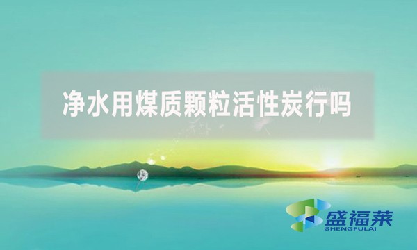 凈水用煤質(zhì)顆?；钚蕴啃袉?？