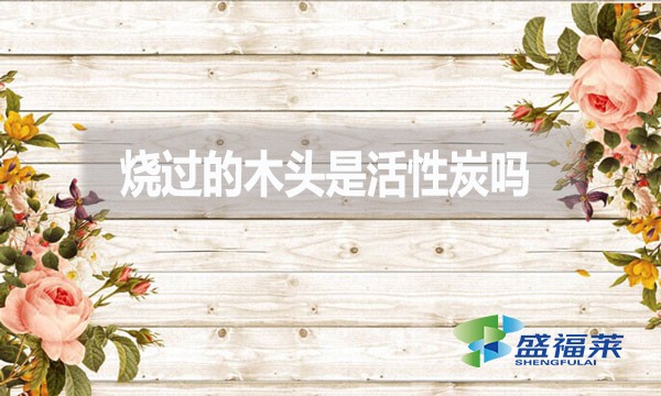 燒過的木頭是活性炭嗎?