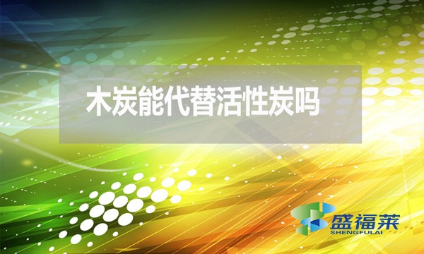 木炭能代替活性炭嗎？為什麼 ？