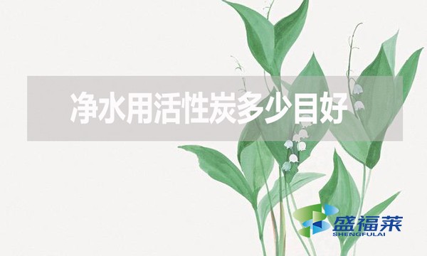 凈水用活性炭多少目好？有哪些優(yōu)缺點？