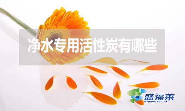 凈水專用活性炭有哪些？多少錢一噸？