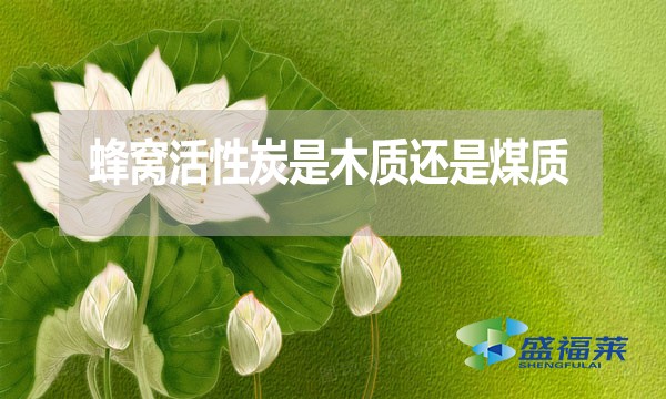 蜂窩活性炭是木質還是煤質？哪種好？