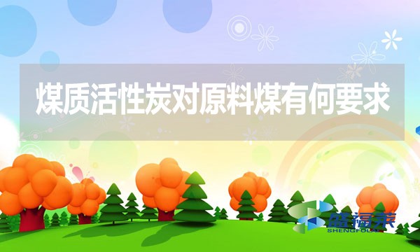 煤質活性炭對原料煤有何要求？