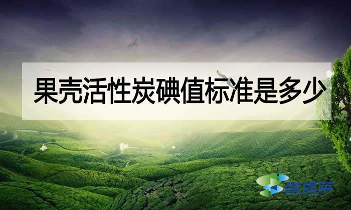 果殼活性炭碘值標(biāo)準(zhǔn)是多少？與其他活性炭相差多少？