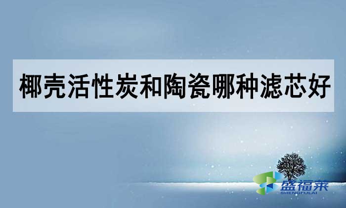 椰殼活性炭和陶瓷哪種濾芯好？如何選擇？