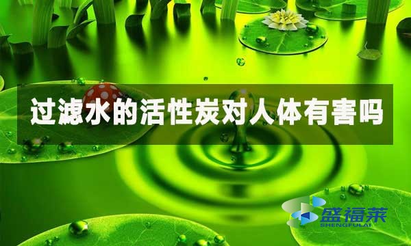 過(guò)濾水的活性炭對(duì)人體有害嗎?
